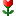 flowerr flowerr