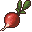 Radish