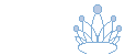 Scoopdedew