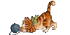TabbyCat