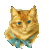 z71cat